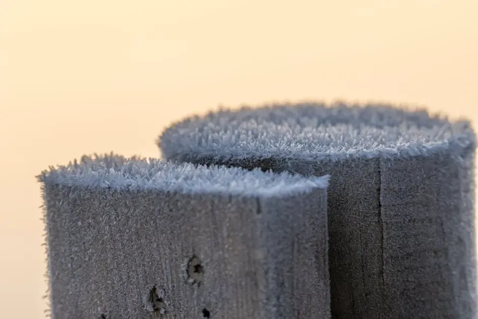 Detailed close-up of icy frost on wooden posts against a soft sunrise backdrop.